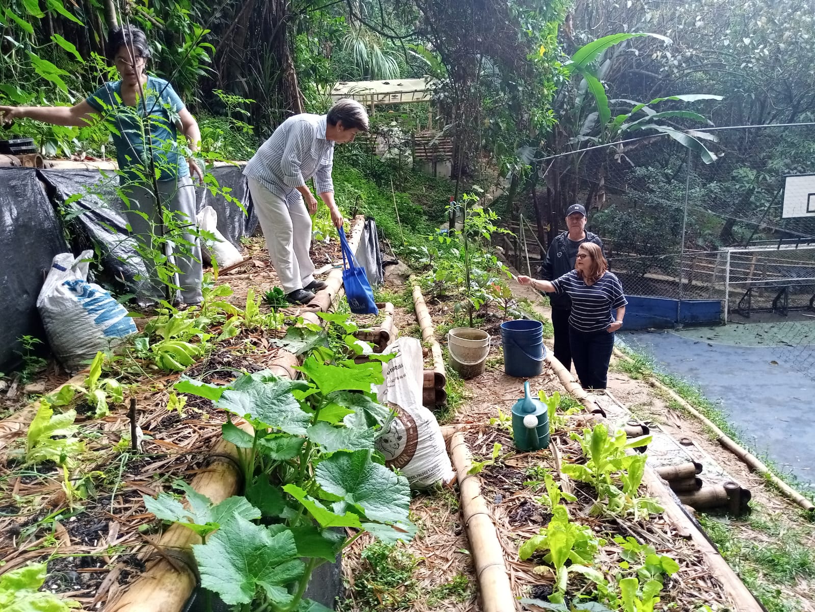 Compañerismo y cuidado ambiental